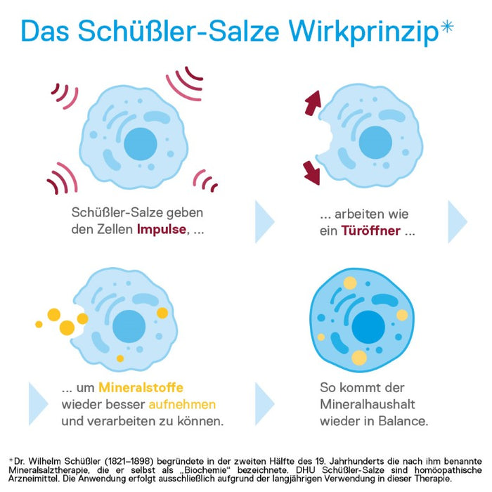 DHU Schüßler-Salz Nr. 7 Magnesium phosphoricum D12 – Das Mineralsalz der Muskeln und Nerven – das Original – umweltfreundlich im Arzneiglas, 200 St. Tabletten