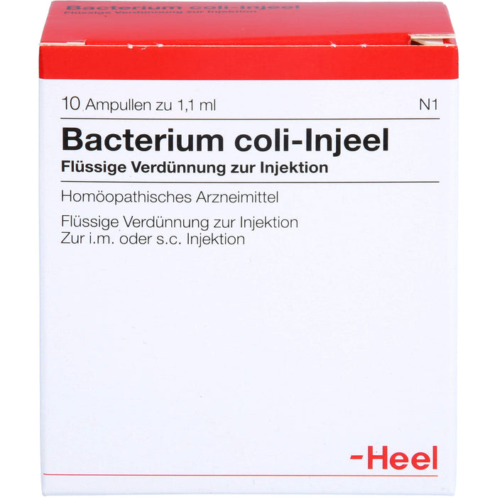 Bacterium coli-Injeel flüssige Verdünnung zur Injektion, 10 pcs. Ampoules