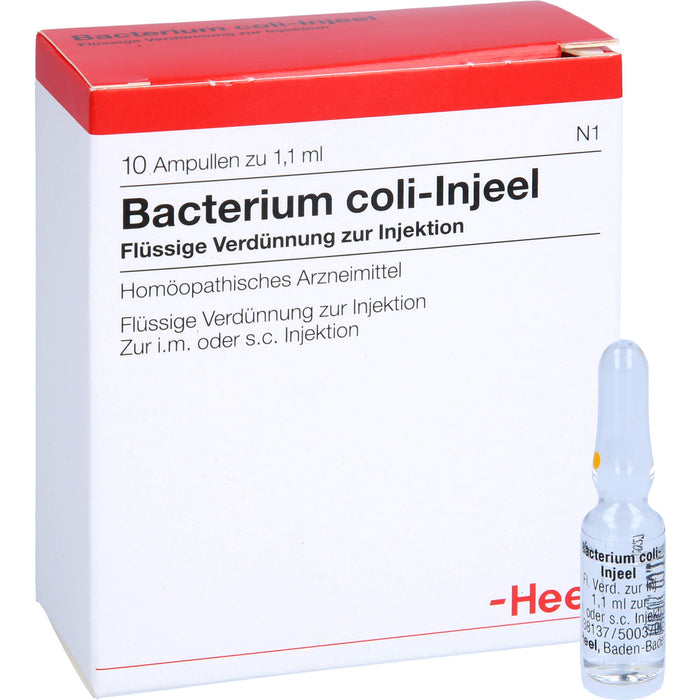 Bacterium coli-Injeel flüssige Verdünnung zur Injektion, 10 pc Ampoules