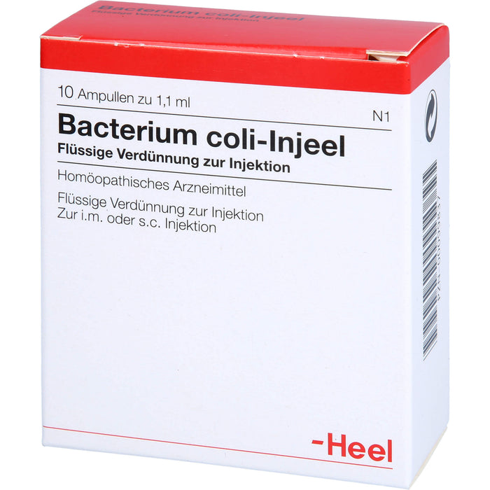 Bacterium coli-Injeel flüssige Verdünnung zur Injektion, 10 pcs. Ampoules