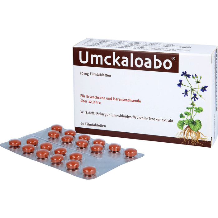 Umckaloabo 20 mg Filmtabletten, 60 St. Tabletten