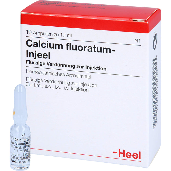 Calcium fluoratum Injeel Amp., 10 St AMP