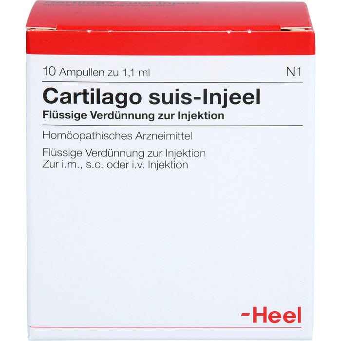 Cartilago suis-Injeel Ampullen, 10 pc Ampoules