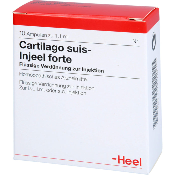 Heel Cartilago suis-Injeel forte flüssige Verdünnung, 10 St. Ampullen