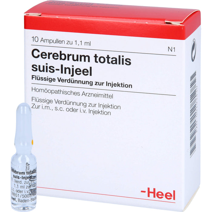 Cerebrum Totalis Suis Injeel Amp., 10 St. Ampullen