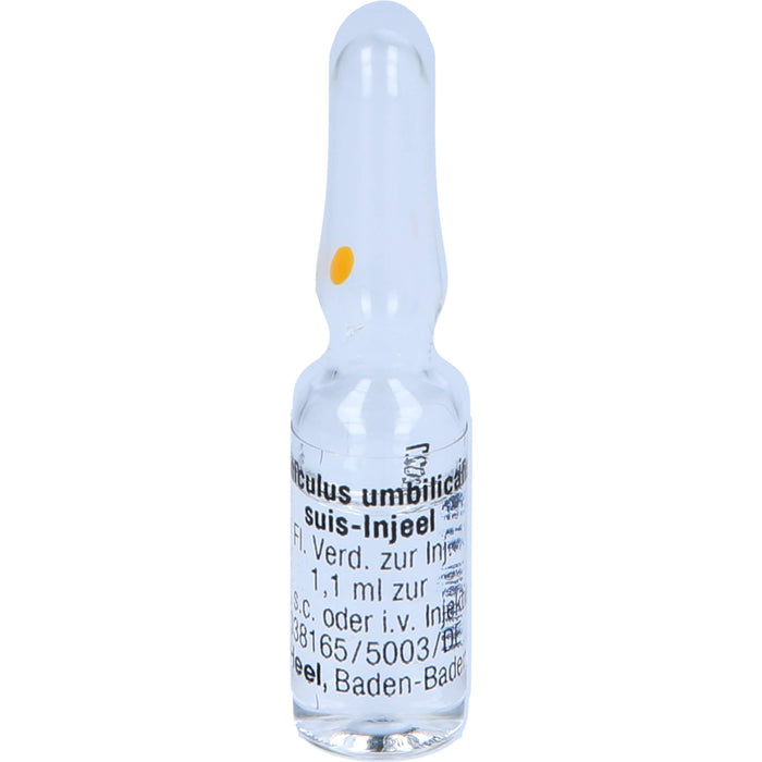 Heel Funiculus umbilicalis suis-Injeel flüssige Verdünnung zur Injektion, 10 pcs. Ampoules