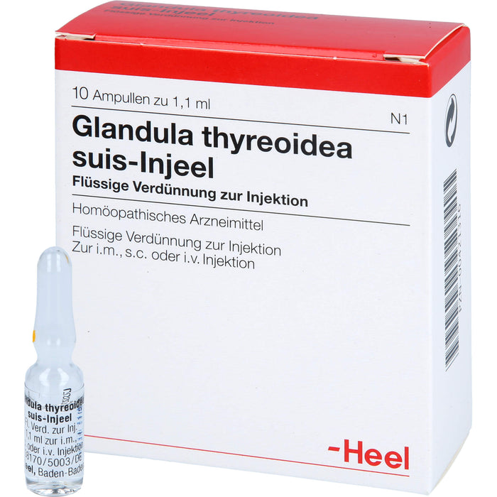 Glandula thyreoidea suis-Injeel flüssige Verdünnung, 10 pcs. Ampoules