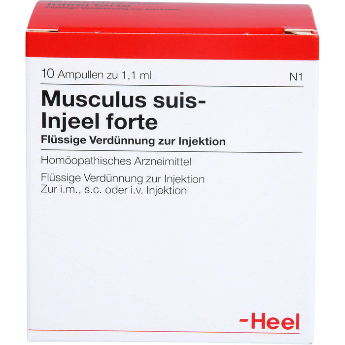 Musculus suis-Injeel forte flüssige Verdünnung, 10 pcs. Ampoules