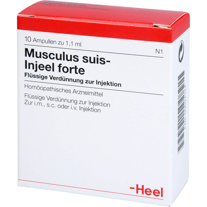 Musculus suis-Injeel forte flüssige Verdünnung, 10 St. Ampullen