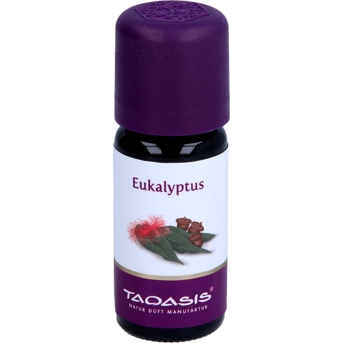 Eukalyptus Öl Arzneimittel, 10 ml Huile éthérique