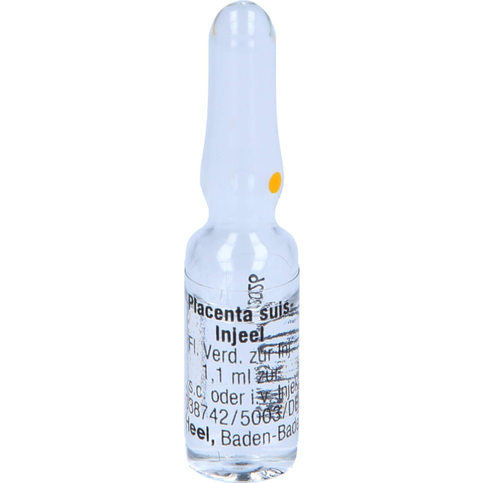 Placenta suis-Injeel flüssige Verdünnung, 10 pcs. Ampoules