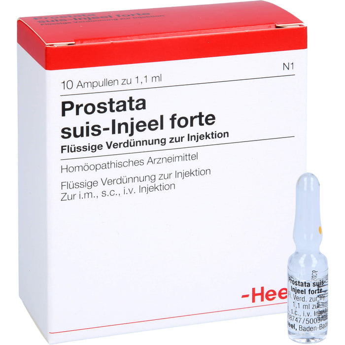 Prostata suis-Injeel forte Injektionslösung, 10 pc Ampoules