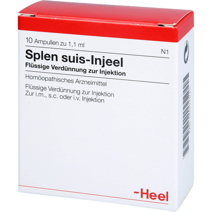 Heel Splen suis-Injeel flüssige Verdünnung, 10 pcs. Ampoules