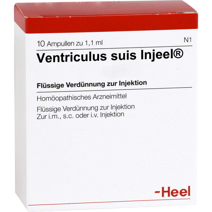 Ventriculus suis-Injeel flüssige Verdünnung, 10 pc Ampoules