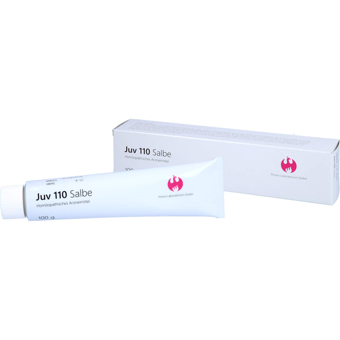 Juv 110 Salbe, 100 g Ointment