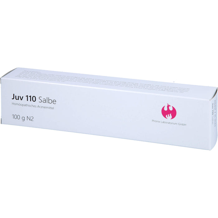 Juv 110 Salbe, 100 g Onguent