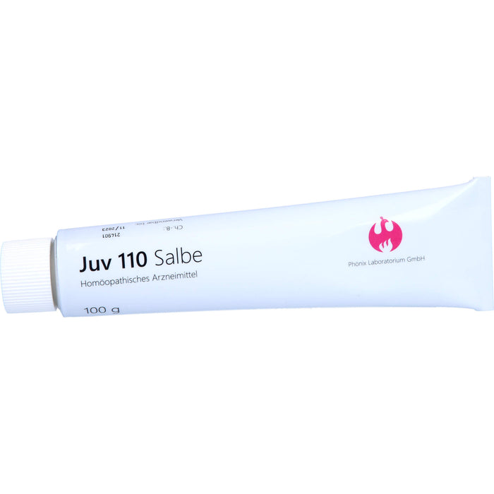 Juv 110 Salbe, 100 g Ointment