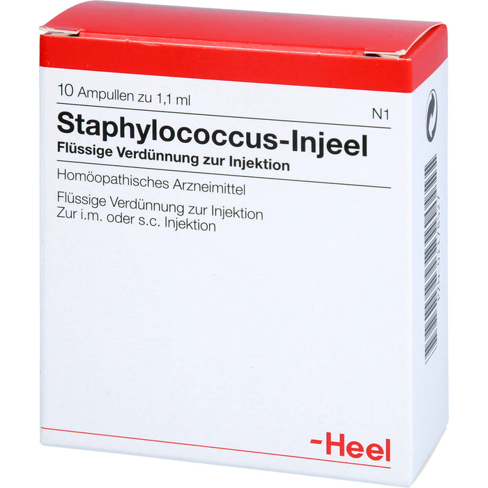 Heel Staphylococcus-Injeel flüssige Verdünnung zur Injektion, 10 pc Ampoules