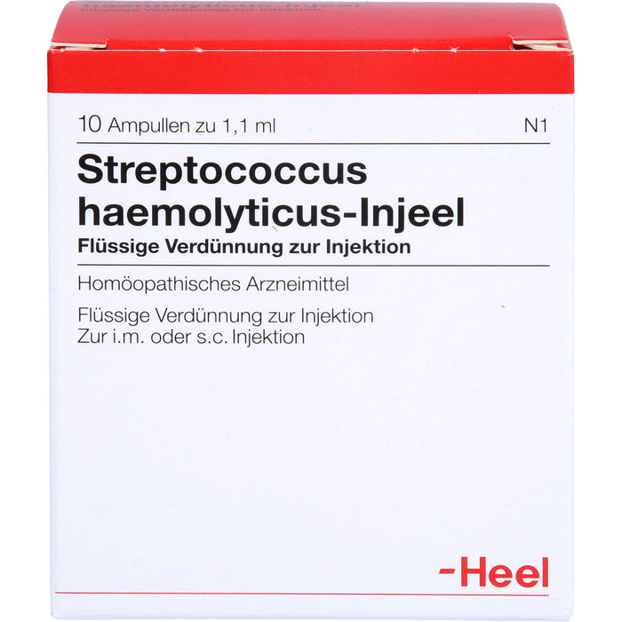 Streptococcus haemolyticus-Injeel flüssige Verdünnung, 10 pc Ampoules