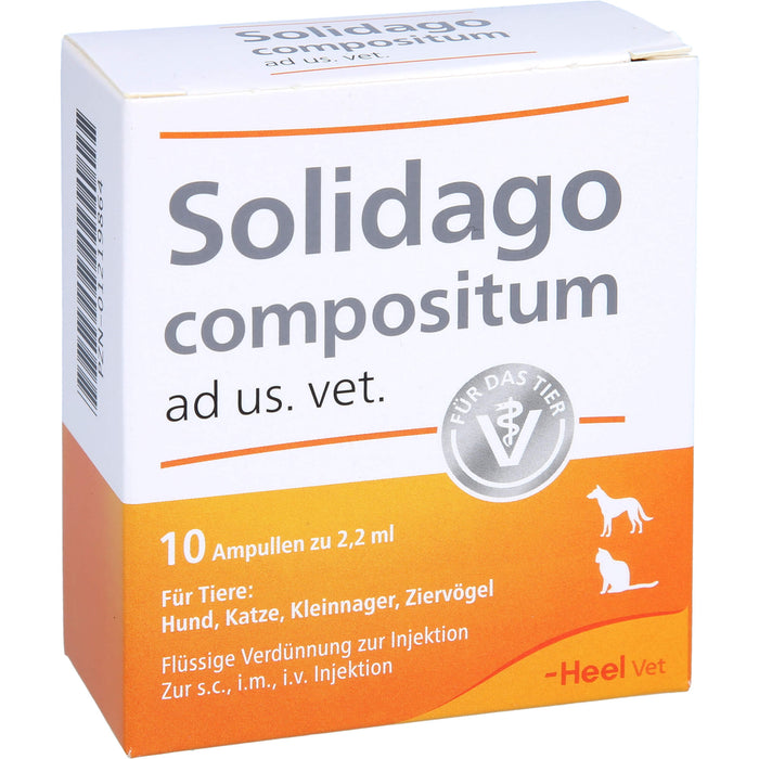 Solidago compositum ad us. vet. Ampullen für Tiere, 10 St. Ampullen