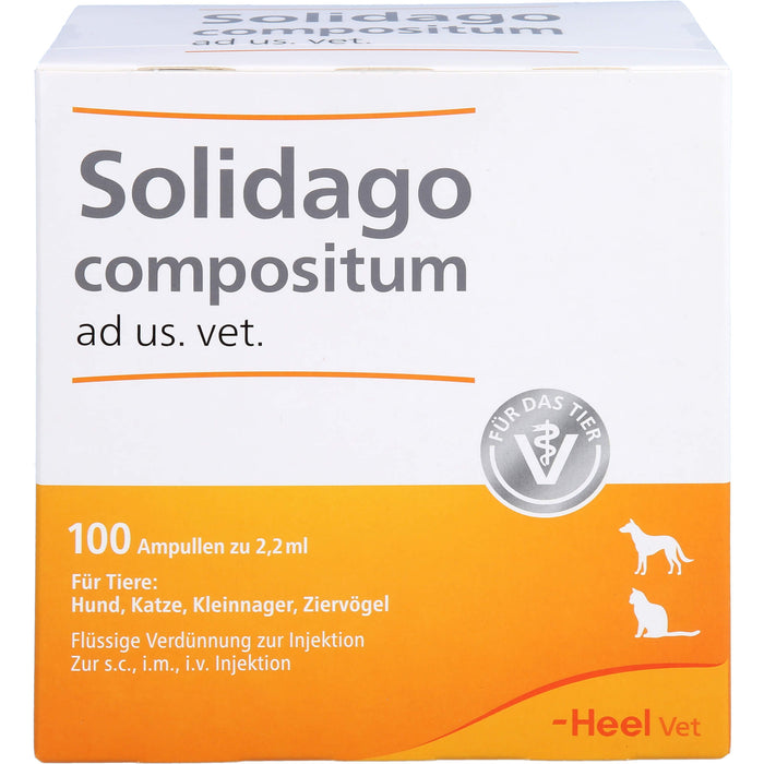 Heel Solidago compositum ad us. vet. flüssige Verdünnung zur Injektion, 100 St. Ampullen