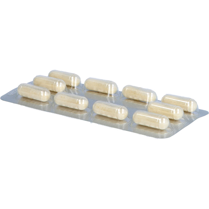 COLOSTRAL Kapseln, 80 pc Capsules