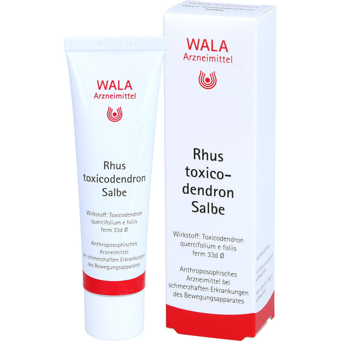 WALA Rhus toxicodendron Salbe, 30 g Ointment