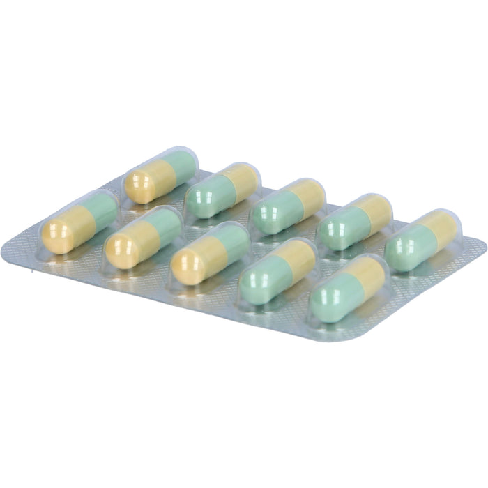 Yomogi Hartkapseln, 20 pcs. Capsules