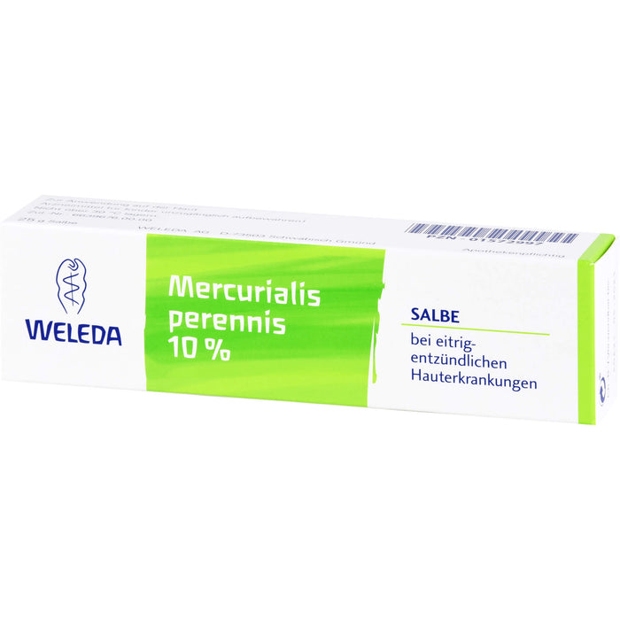 Weleda Mercurialis perennis 10 % Salbe bei eitrig-entzündlichen Hauterkrankungen, 25 g Ointment