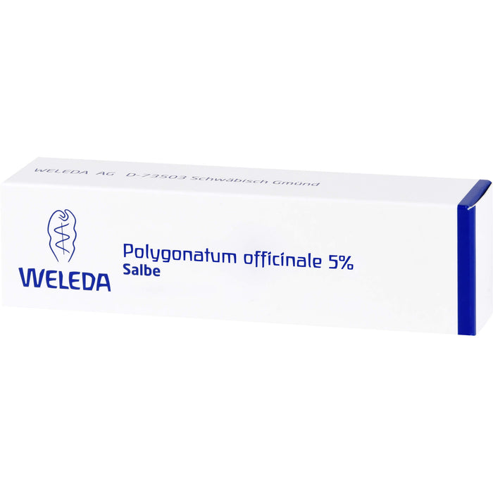 WELEDA Polygonatum officinale 5% Salbe, 25 g Onguent