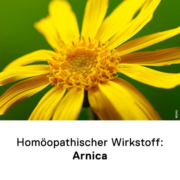 DHU Arnica D6 Streukügelchen, 10 g Globuli