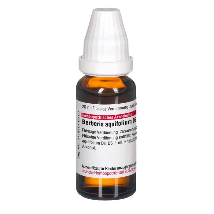 Berberis aquifolium D6 DHU Dilution, 20 ml Lösung