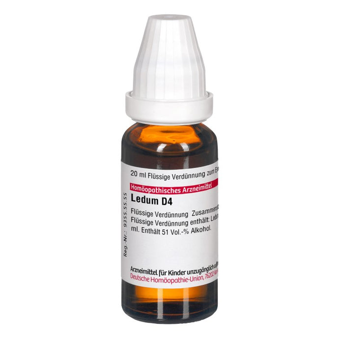 DHU Ledum D4 Dilution, 20 ml Lösung