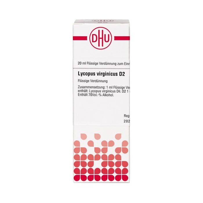 DHU Lycopus virginicus D2 Dilution, 20 ml Lösung