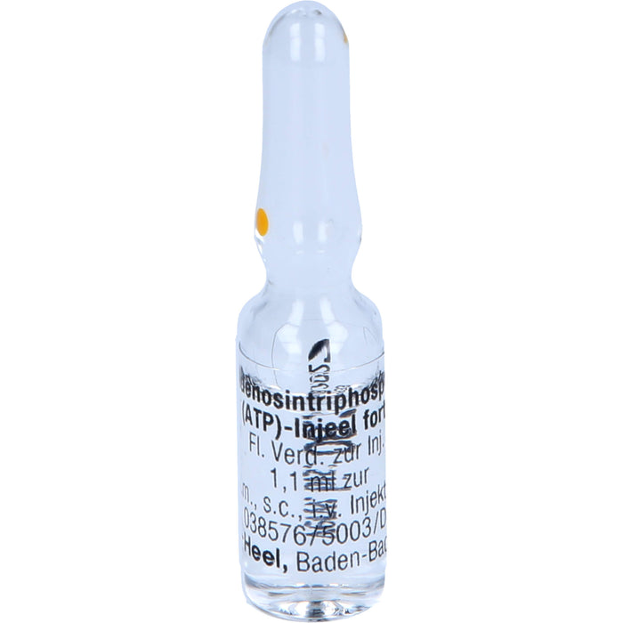 Adenosintriphosphat (ATP)-Injeel forte Ampullen, 10 pcs. Ampoules