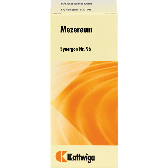 Synergon Komplex 9 b Mezereum Tropf., 50 ml TRO