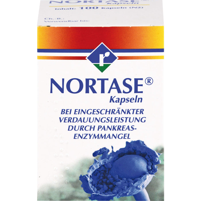 NORTASE Kapseln, 100 pc Capsules