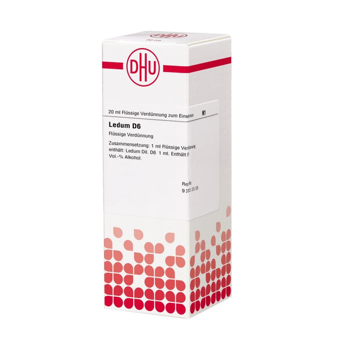 DHU Ledum D6 Dilution, 20 ml Lösung