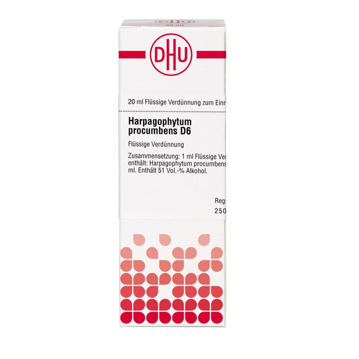 Harpagophytum procumbens D6 DHU Dilution, 20 ml Lösung