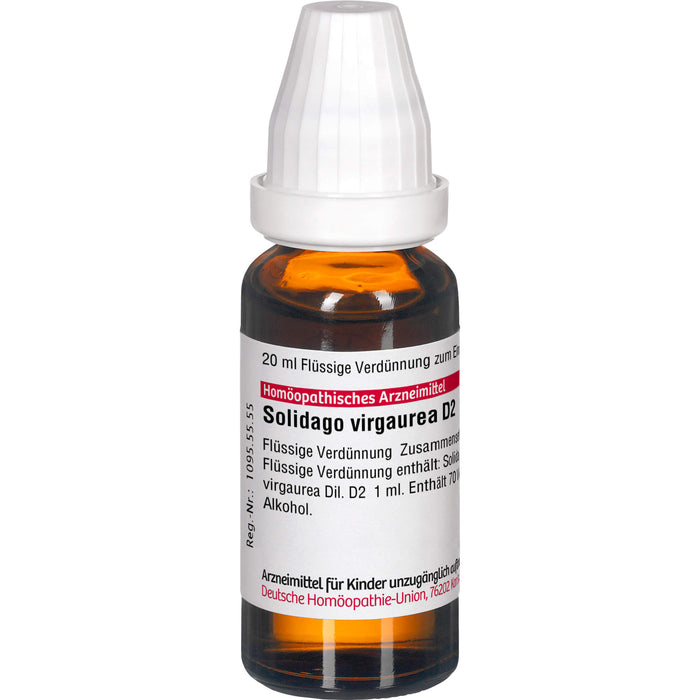 DHU Solidago Virgaurea D 2 Verdünnung, 20 ml Lösung