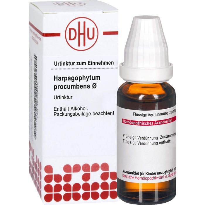 Harpagophytum procumbens Urtinktur D1 DHU, 50 ml Lösung