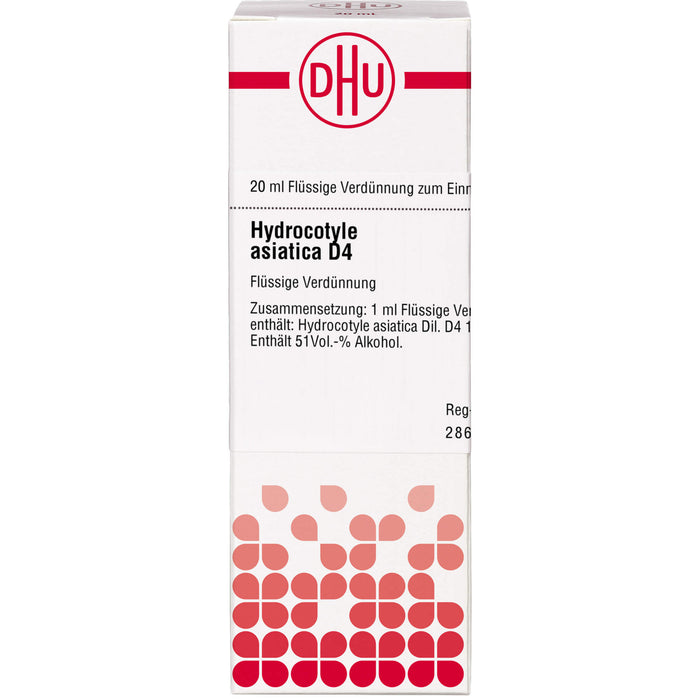 DHU Hydrocotyle asiatica D4 Dilution, 20 ml Lösung