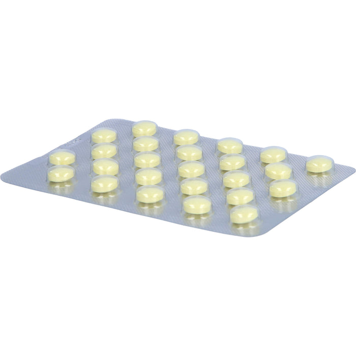 Rutinion FT 100 mg Tabletten zur Besserung von Beinbeschwerden, wie Schweregefühl bei müden Beinen, 100 pc Tablettes