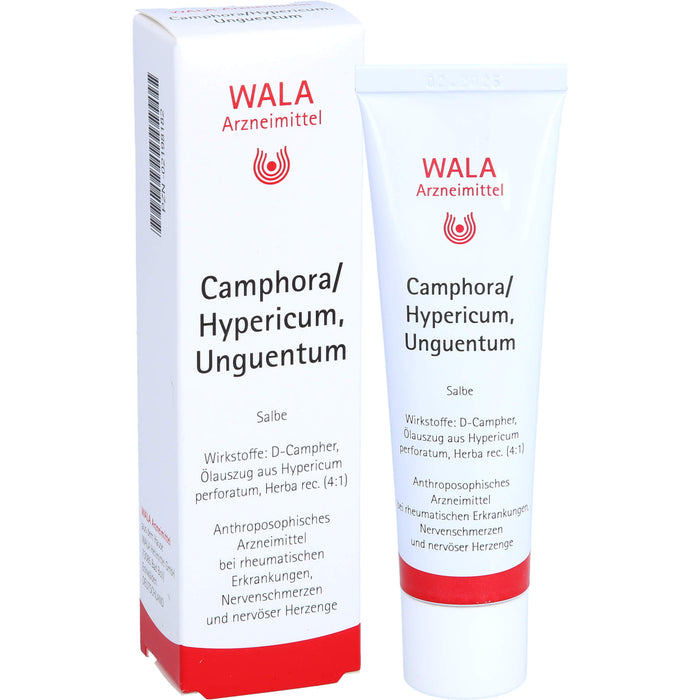 Camphora/Hypericum, Unguentum Wala, Salbe, 30 g SAL