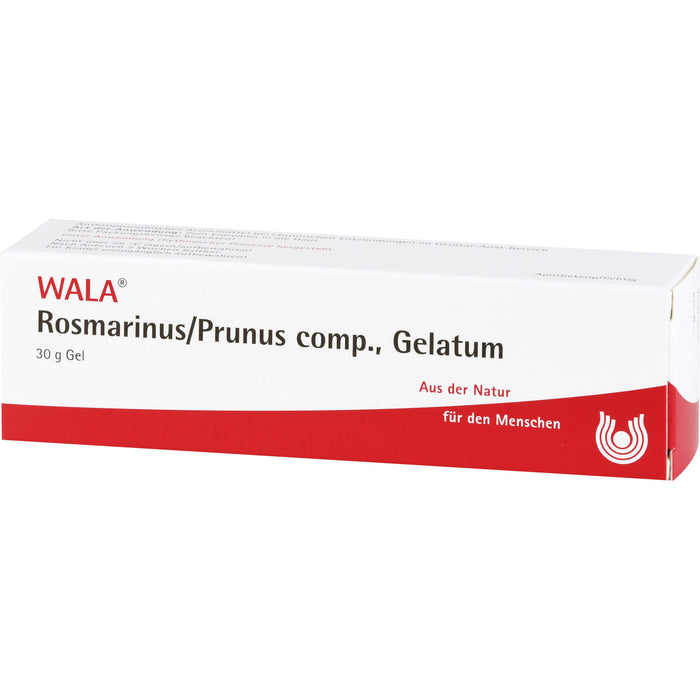 WALA Rosmarinus/Prunus comp. Gelatum, 30 g Onguent