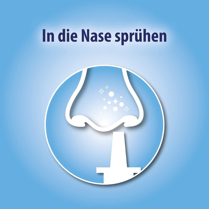 Olynth K Nasenspray bei Schnupfen, 10 ml Lösung