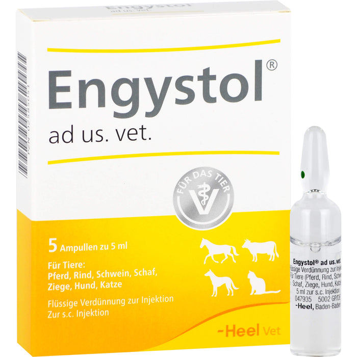 Engystol ad us. vet. Ampullen, 5 pcs. Ampoules