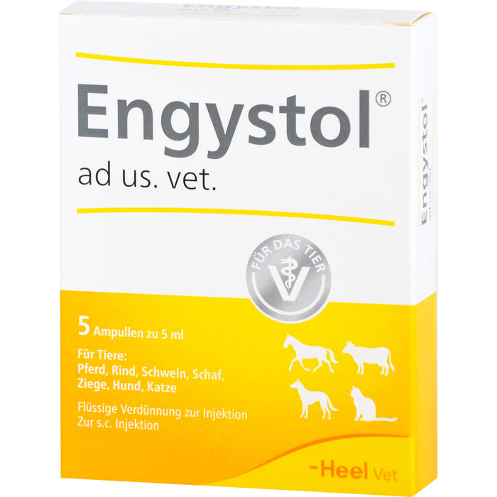 Engystol ad us. vet. Ampullen, 5 St. Ampullen