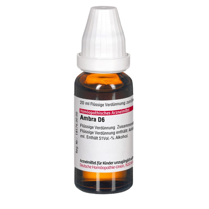 DHU Ambra D6 Dilution, 20 ml Lösung