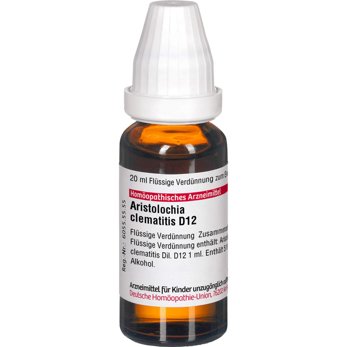 DHU Aristolochia clematitis D12 Dilution, 20 ml Lösung